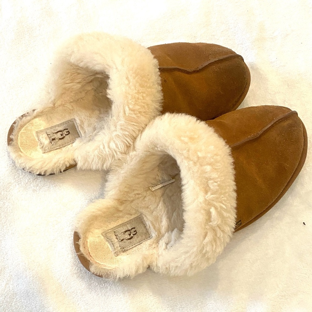 UGG scuffette Tan Slippers with Cream Shearling size 9